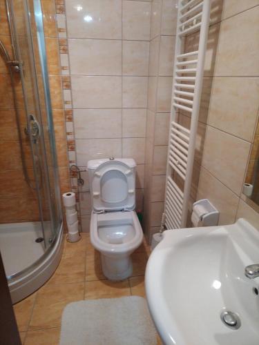 a bathroom with a toilet and a sink and a shower at Apartman CENTAR in Trebinje