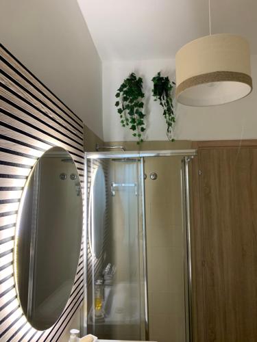 bagno con grande specchio e doccia di Casalago Holiday Home a Ronciglione