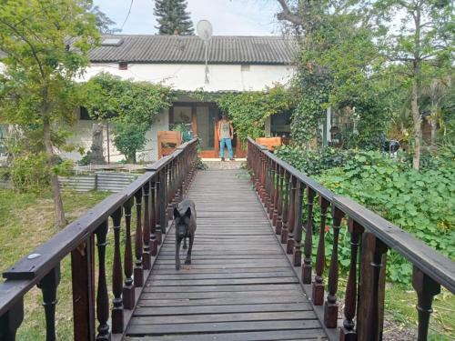 a dog walking across a wooden bridge at The Farmhouse Palm Tree Cabin in Stellenbosch