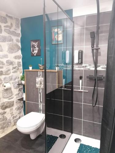 une salle de bain avec toilettes et douche en verre dans l'établissement Charmant appartement de village, à Pennautier