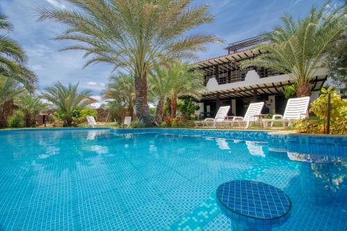a swimming pool with chairs and palm trees at Playa El YAQUE Posada Yaque Sol, Isla de Margarita in El Yaque