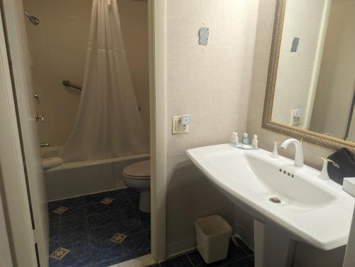a bathroom with a sink and a toilet and a mirror at Quality Inn & Suites Northampton - Amherst in Northampton