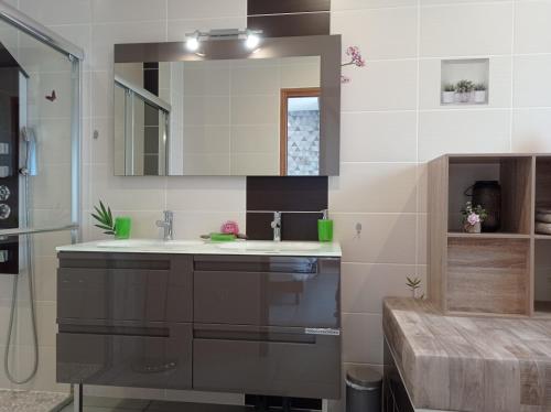 a bathroom with a sink and a mirror at Les Clos De La Vigne in Vals-les-Bains