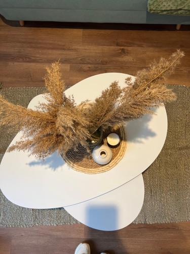 une table avec une plaque blanche et un bol avec une plante dans l'établissement Le Farconnet, à Tournon-sur-Rhône