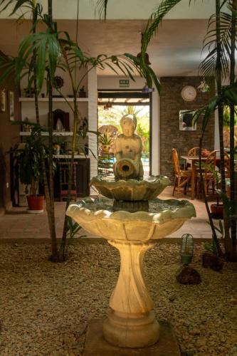 a fountain in the middle of a room with plants at Playa El YAQUE Posada Yaque Sol, Isla de Margarita in El Yaque