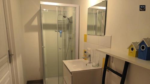 ein Bad mit einer Dusche, einem Waschbecken und einem Spiegel in der Unterkunft Gite Meilhards in Meilhards