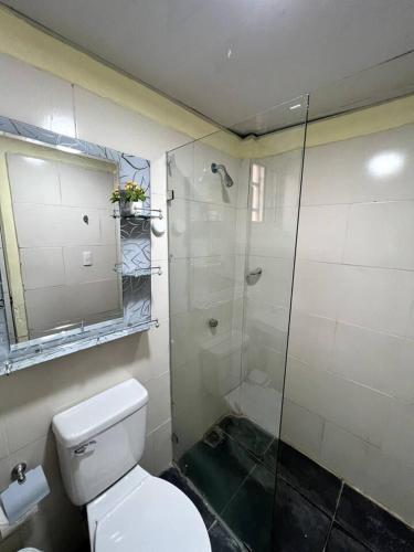 uma casa de banho com um WC e uma cabina de duche em vidro. em Hotel La Playa em Santa Cruz de Barahona