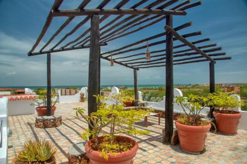 a pergola with potted plants on a roof at Playa El YAQUE Posada Yaque Sol, Isla de Margarita in El Yaque