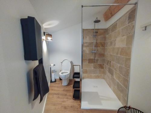 a bathroom with a toilet and a walk in shower at LA VIGNE in Saulieu