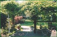 a view of a garden with a tree and chairs at Land-gut-Hotel Zur Lochmühle in Penig