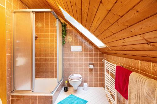 La salle de bains est pourvue d'une douche et de toilettes. dans l'établissement Landhaus Am Schmiedebach, à Wittenschwand
