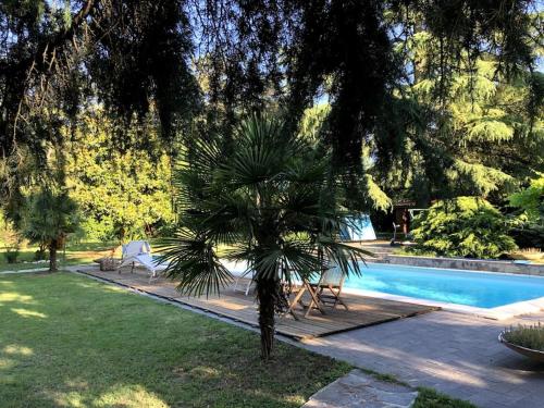 una palmera sentada junto a una piscina en Apartment in Villa La Carruba en Rivergaro