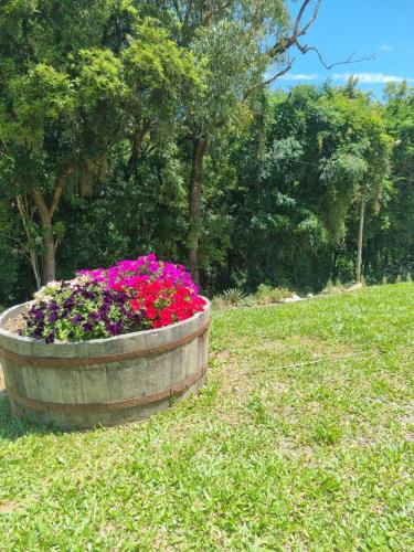 a wooden planter filled with pink flowers in a field at Pietra Rossa- Vale dos Vinhedos in Bento Gonçalves
