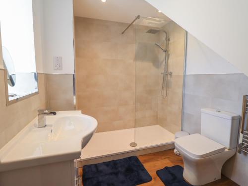 a bathroom with a shower and a toilet and a sink at Bryn Eglwys Cottage in Tywyn