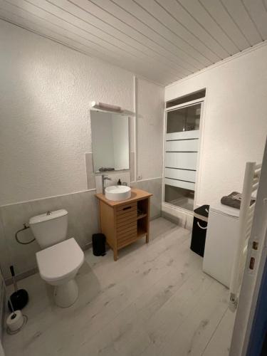 a bathroom with a toilet and a sink at Nid douillet proche des Thermes in Bourbonne-les-Bains