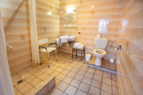 a bathroom with a toilet and a sink at Contact Hotel Du Ladhof in Colmar
