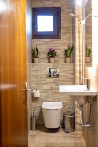 a bathroom with a toilet and a sink at Roula's Cosy Home in Tríkala