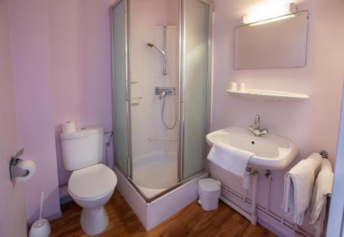 a bathroom with a shower and a toilet and a sink at Hôtel du Ladhof in Colmar