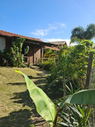 a house with a large green plant in front of it at Essência da Terra - Cabanas de Temporada in Praia do Rosa