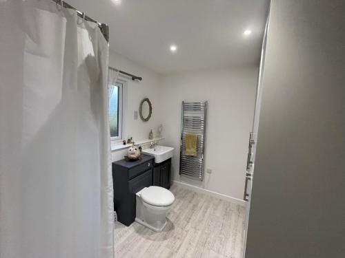 La salle de bains blanche est pourvue de toilettes et d'un lavabo. dans l'établissement Little Owl Cottage, à Faversham