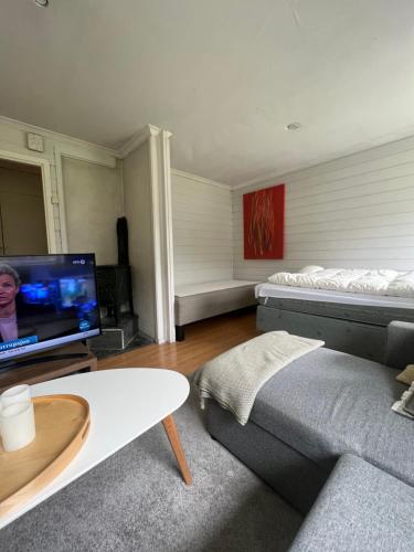 a living room with a couch and a flat screen tv at Cosy apartment with free parking in Bergen