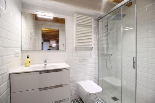 ein Bad mit einer Dusche, einem WC und einem Waschbecken in der Unterkunft Designer duplex in the center in Santander