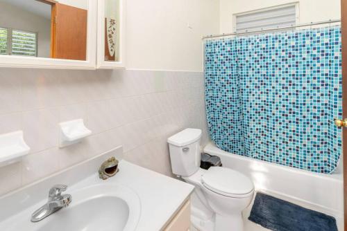 ein Bad mit einem WC, einem Waschbecken und einer Dusche in der Unterkunft Villa Ensueno a 3 bdr house in the mountain in Rincon