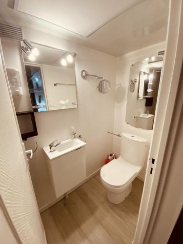La petite salle de bains est pourvue de toilettes et d'un lavabo. dans l'établissement LA MARIEFACTURE - Comme une Saga Africa, à Faulquemont