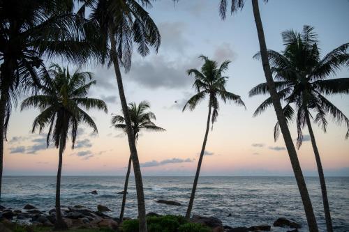 a group of palm trees on the beach at sunset at Beacon By The Bay Villas and Suites by the Clarks in Matara