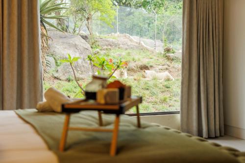 a room with a table with a view of a window at Pumbaa Wildlife Park & Accommodation in Nelspruit