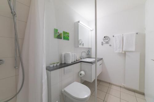 ein weißes Bad mit einem WC und einer Dusche in der Unterkunft Vista Montagna in Unterwasser