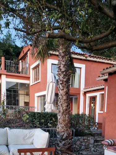 a palm tree in front of a house with an umbrella at Villa Clarté Sète in Sète