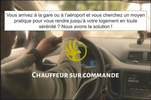 una persona che guida un'auto con una scarpa gialla sul volante di Maison du ciel, Aéroport, Paris a Villeparisis