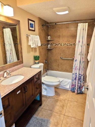a bathroom with a toilet and a sink and a shower at Lakeland Village #105 in South Lake Tahoe