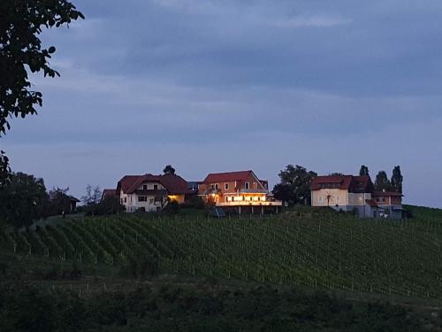 una casa en una colina con un campo de uvas en Weinhof Reichmann, en Sankt Peter am Ottersbach
