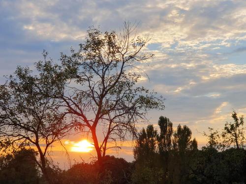 Naturlandschaft in der Nähe des Bed & Breakfasts