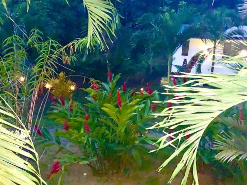 Casa Melia – Photos 3