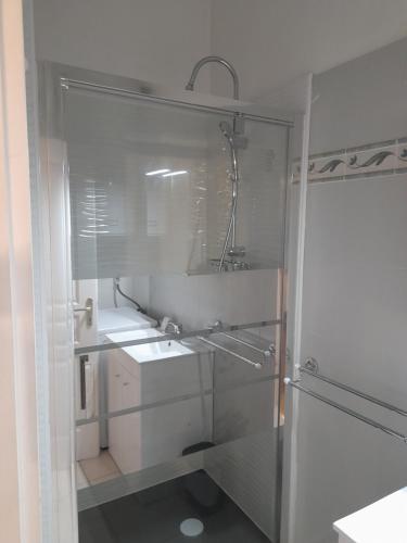 Koupelna v ubytování T2 Charmant duplex independant Blagnac