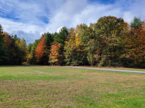 a road in a field with trees in the background at Indoor Pool Near Grand Haven & Lake Michigan Beach in Spring Lake