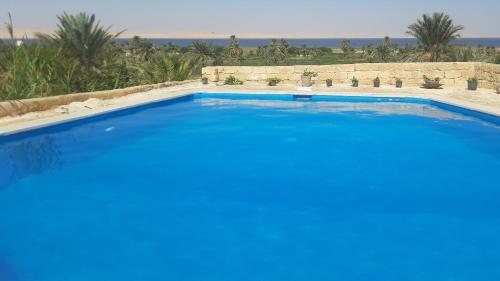 Tunis Tone – Photos 5