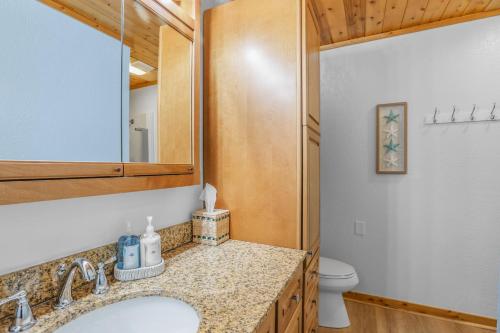 a bathroom with a sink and a toilet and a mirror at Indoor Pool Near Grand Haven & Lake Michigan Beach in Spring Lake
