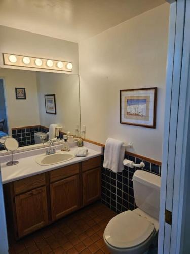 ein Badezimmer mit einem WC, einem Waschbecken und einem Spiegel in der Unterkunft Pebbly Beach Suite in Snug Cove in Bowen Island