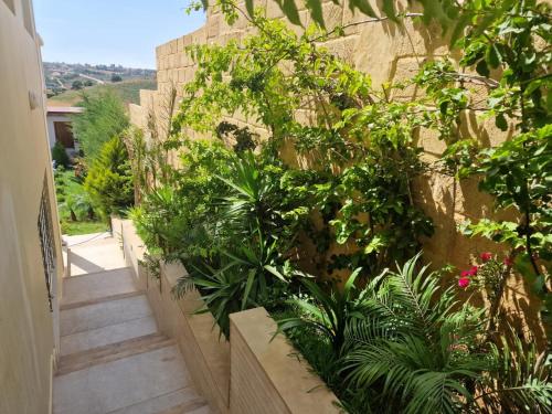 a garden with plants and a stairway at Villa Fares Assilah 1 in Asilah