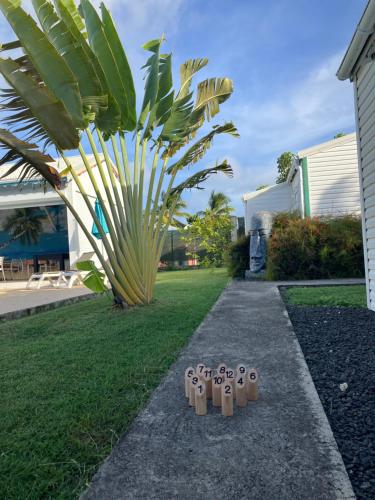 a sidewalk with a palm tree and a group of sand timers at Gîte Ty Koko in Saint-François
