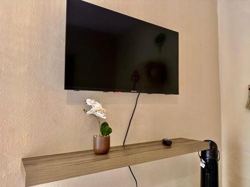 a flat screen tv on a wall with a plant on a shelf at Bokatrip El Llano in Oaxaca City