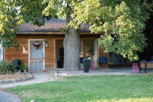 una casa con un árbol delante en Wingate - Meridian, Cozy Acreage in the heart of the city, en Meridian