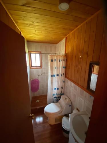 a small bathroom with a toilet and a sink at Portal Costanera Caburgua in Caburgua