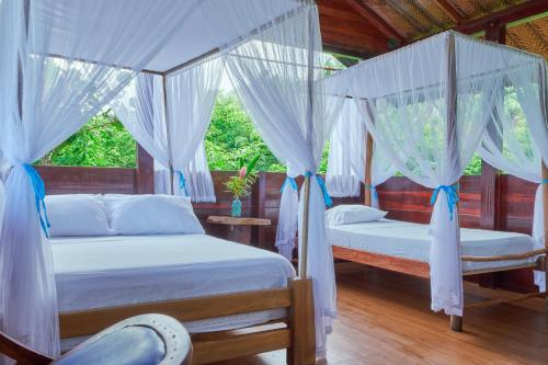 two beds in a room with white drapes at Playa Los Angeles in Los Naranjos