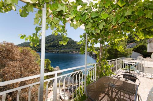 a balcony with a view of a lake at Apartments and Rooms Nike in Sobra