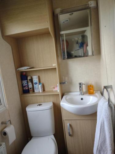 een kleine badkamer met een toilet en een wastafel bij Ann & Rogers Retreat Skipsea Sands in Ulrome